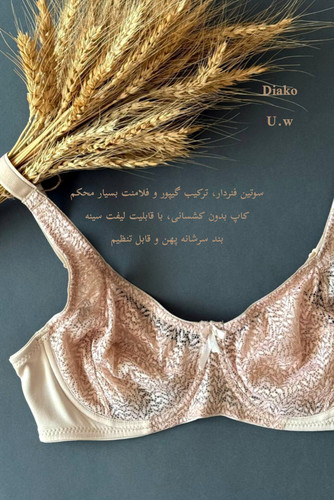 سوتین فنردار بسیار محکم مینیمایزر (کوچک کننده) کاپ D مدل گندم